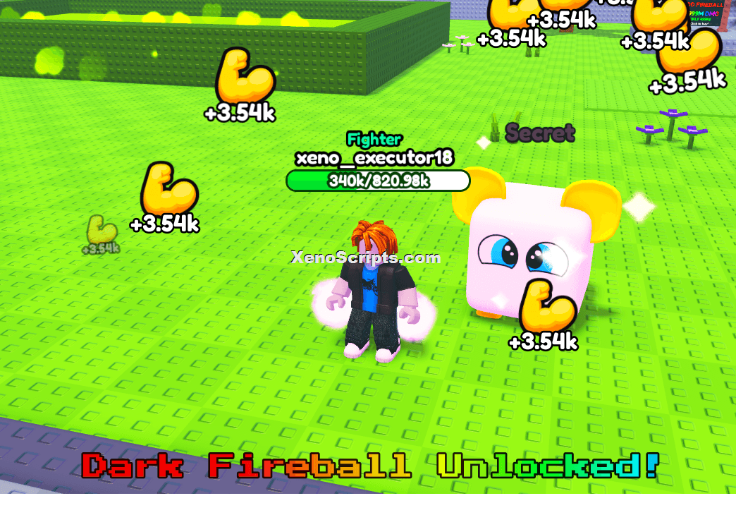 Fireball Training Script Keyless