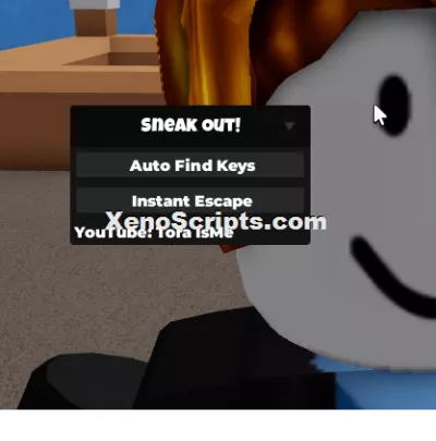 Sneak Out icon